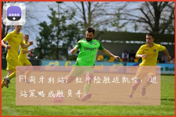 F1匈牙利站:红牛险胜迈凯伦,进站策略成胜负手