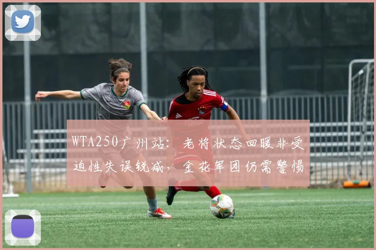 WTA250广州站：老将状态回暖非受迫性失误锐减，金花军团仍需警惕伤病隐患