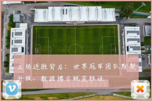 主场连胜背后：世界冠军团队默契升级，数据揭示蜕变轨迹
